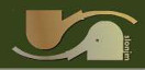 Florov Logo