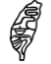 Jerry Zenn Logo