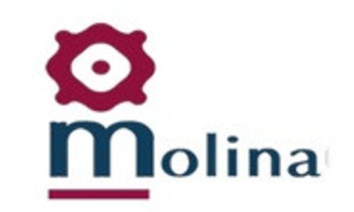 Molina Logo