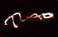 Tao Logo